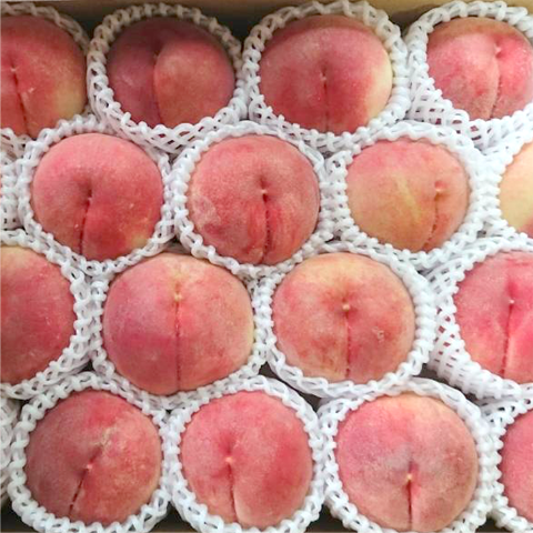 直売で、より新鮮でより安く