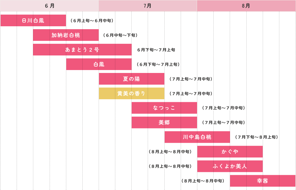 山梨産の桃の収穫時期